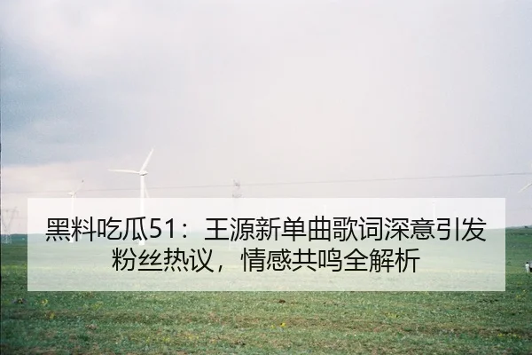 黑料吃瓜51：王源新单曲歌词深意引发粉丝热议，情感共鸣全解析